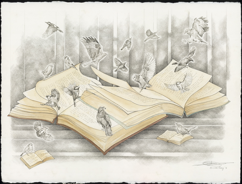 Bird Books, a detailed drawing by Anneka Reay